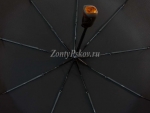 Мужской зонт Zicco, арт.3020_product